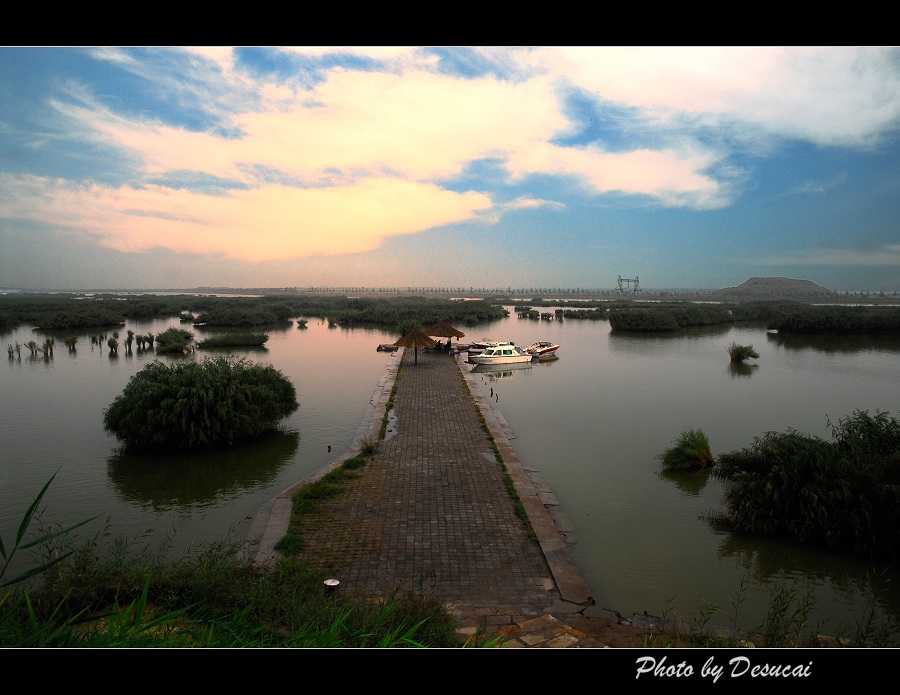 宁夏沙湖风光 摄影 德肃彩