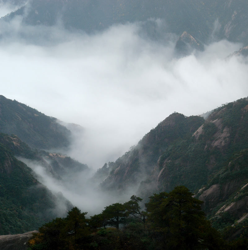 雾黄山 摄影 太白遗风