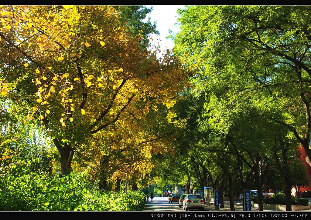 北京街景 摄影 相逢是歌