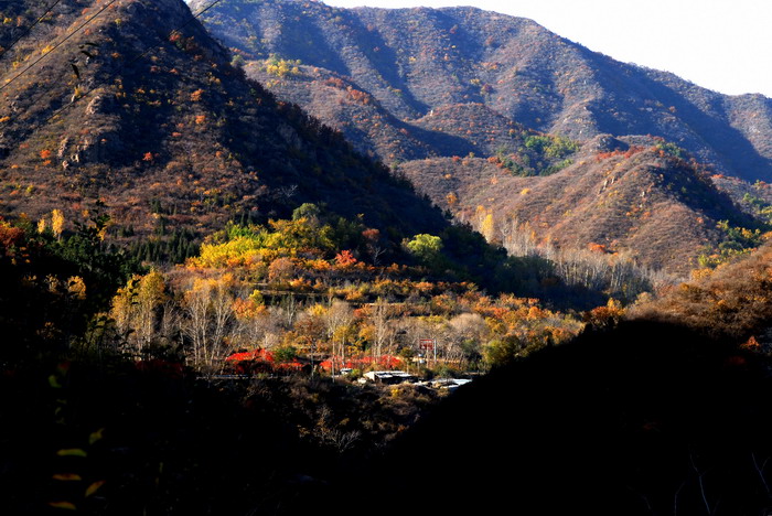 大山的秋天 摄影 风飘絮