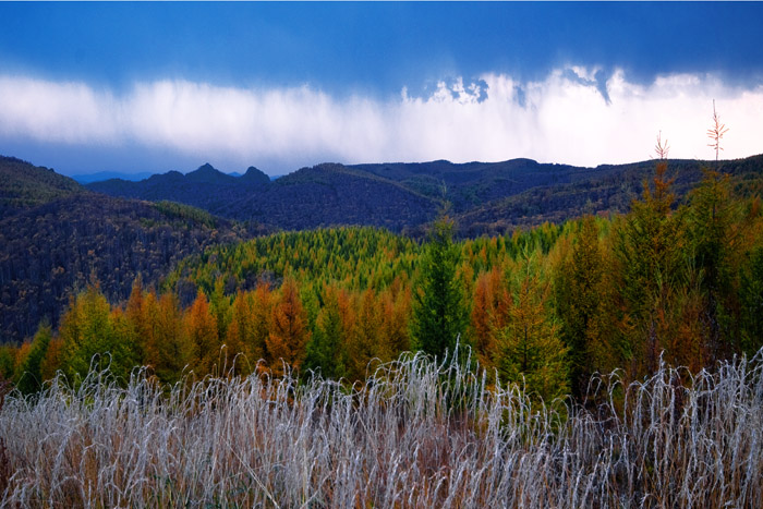 山雨欲来 摄影 郑毅