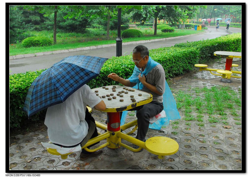 风雨无阻 摄影 晓星