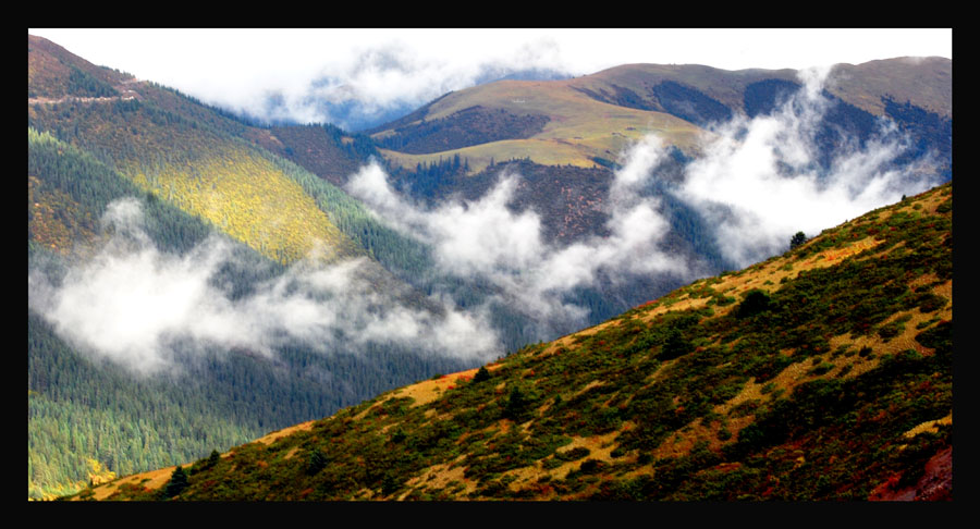 越过剪子弯山 摄影 钻山豹