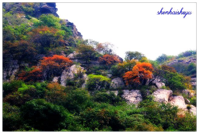 秋天的五峰山 摄影 深海鲨鱼li