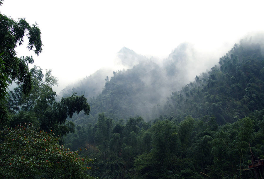 看山不见山 摄影 胡主任