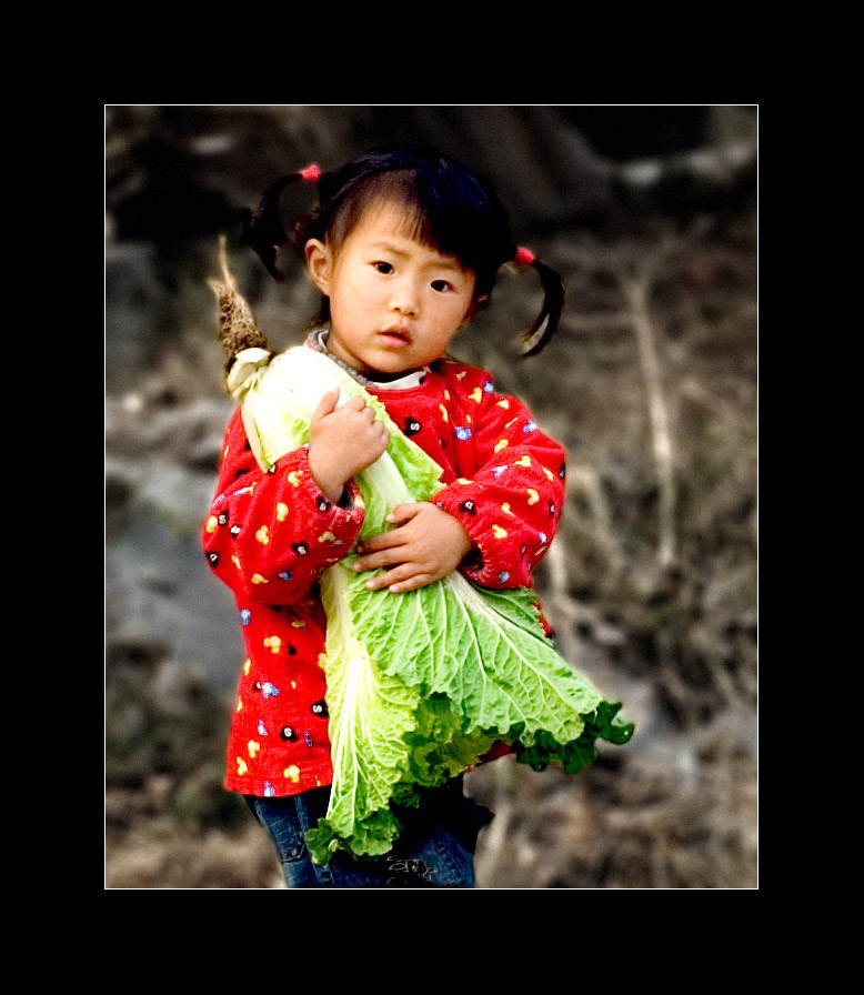 白菜妞妞 摄影 布衣山农