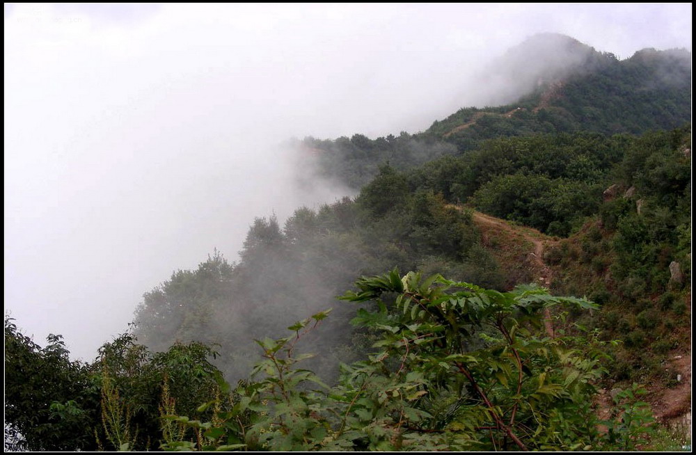 浓雾中的八仙山 摄影 游新