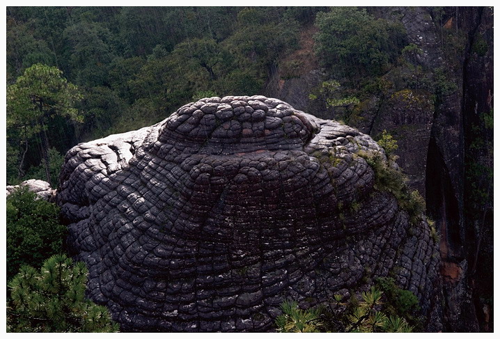 黎明 千龟山 摄影 峰石岩