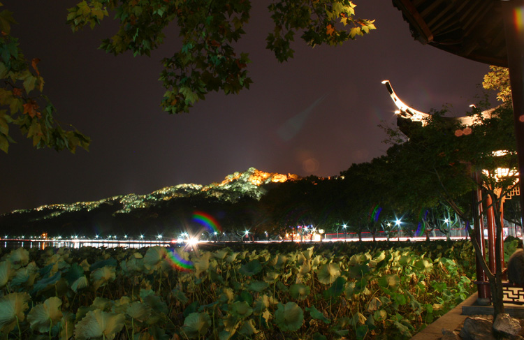 北山路夜景 摄影 如诗入画