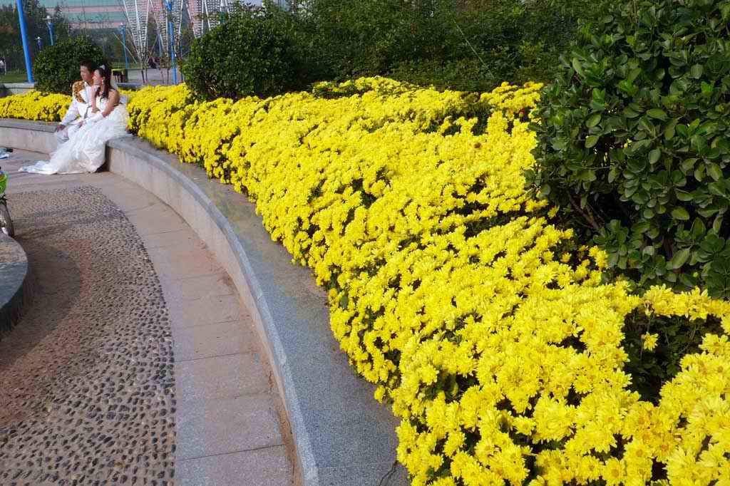 花开时节 摄影 逍谣客3