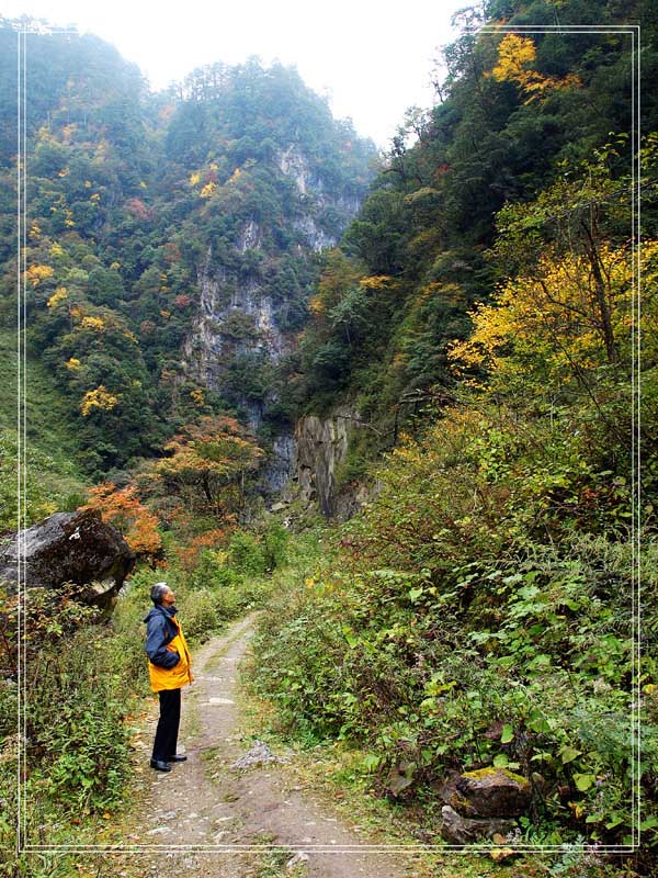 青山依旧在 摄影 彼岸花落