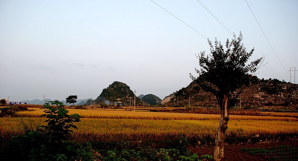 人家的田野 摄影 彼岸的风景