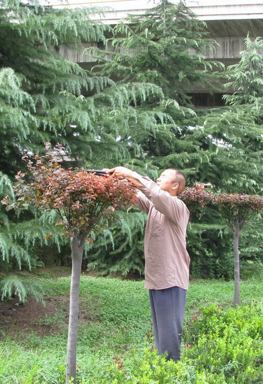 辛勤的花工 摄影 锦绣河山