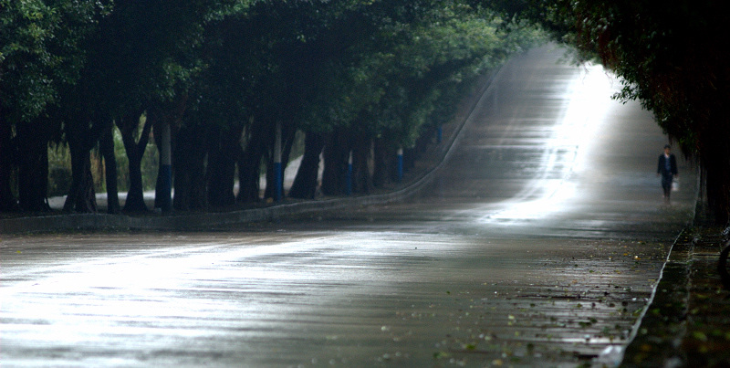 初冬雨后 摄影 三峡行人