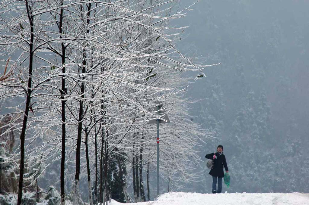 08南方的一场雪,徒步回家. 摄影 老豆