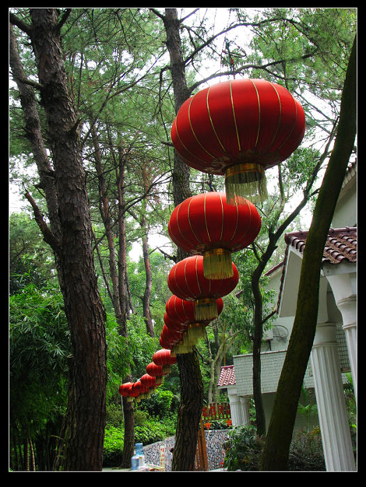 大红灯笼高高挂 摄影 天使之吻