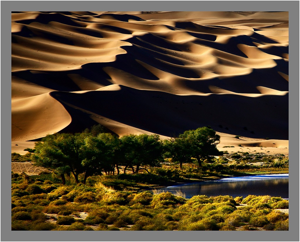 西北行(12)-----大漠绿洲 摄影 浪游天涯