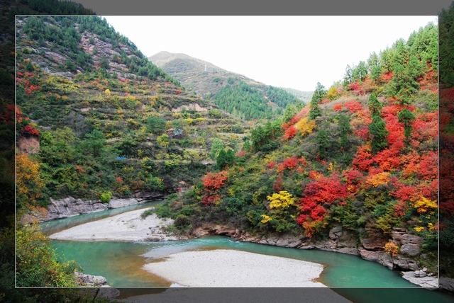 秦岭秋色 摄影 XI细雨YU