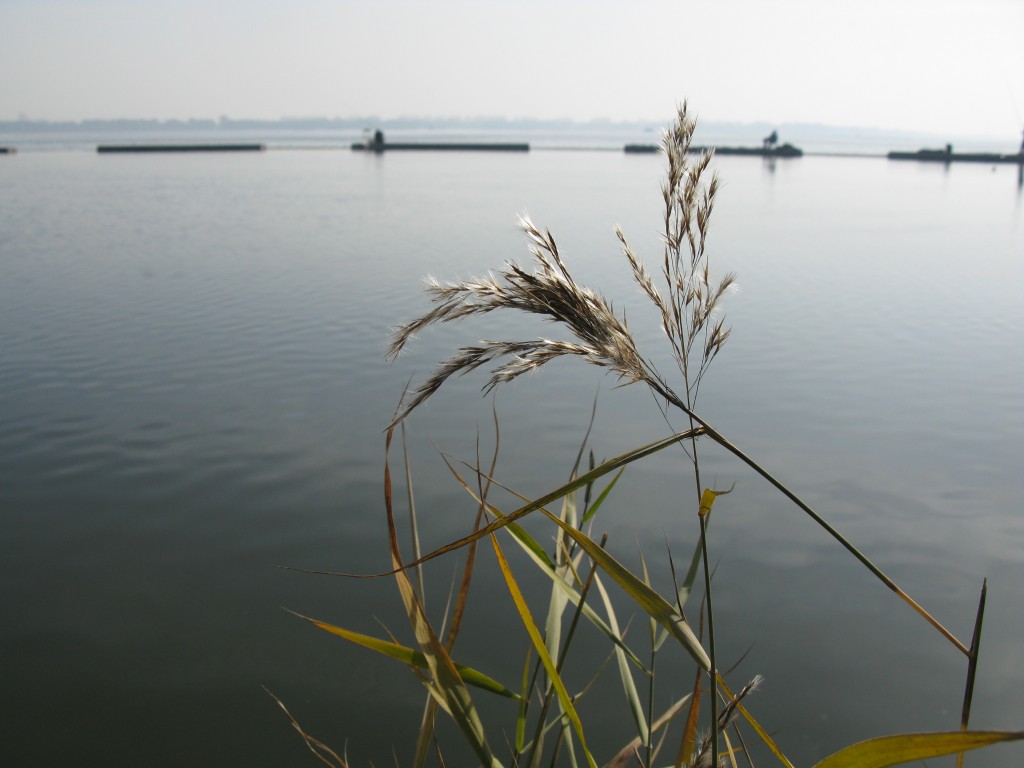 湖畔 摄影 冬寒寒