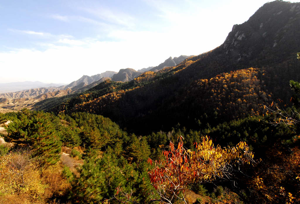 千佛岭秋奘 摄影 山岗