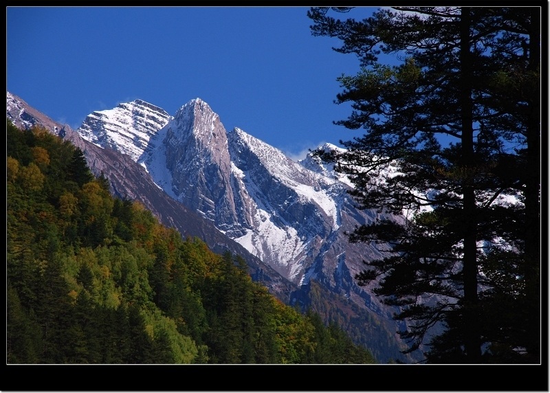 苍松雪山 摄影 敕勒牧歌