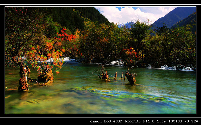 行摄九寨---秋 摄影 恋之风景2000