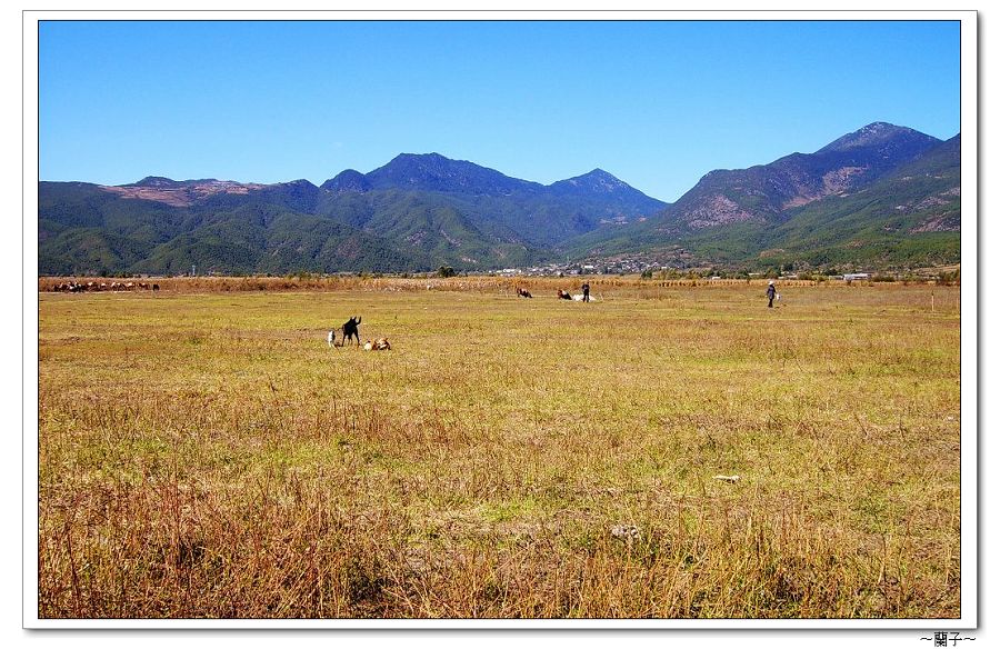 山顶草地 摄影 兰子