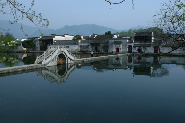 宏村 摄影 鸟归林