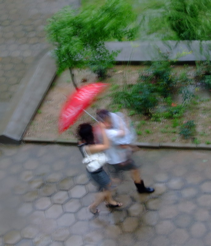 顶风冒雨 摄影 清茶一杯