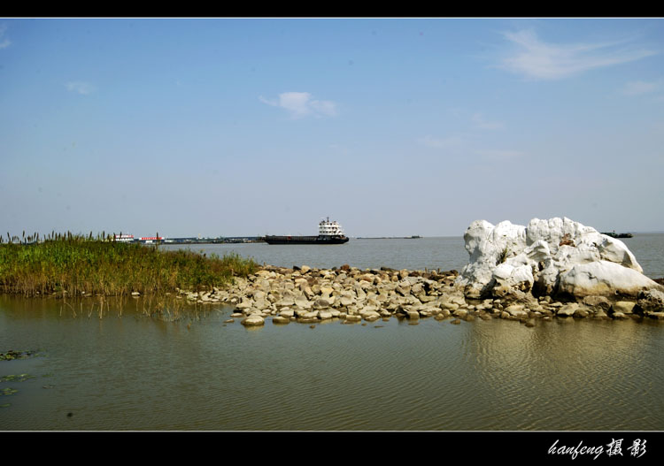 上海炮台湾湿地公园游记—江边 摄影 寒风2007