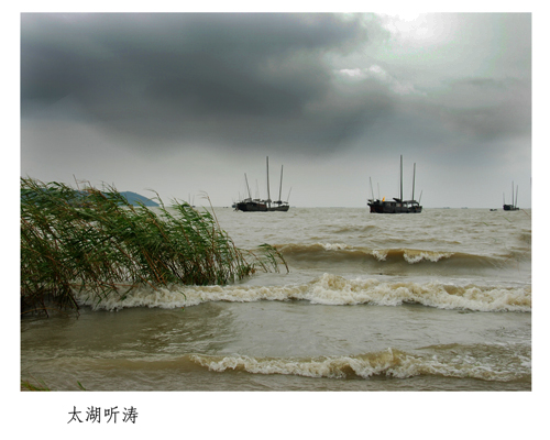 太湖听涛 摄影 走马观景