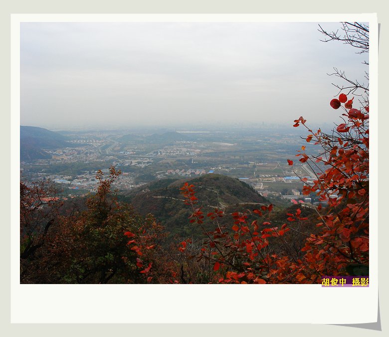 香山红叶 摄影 胡俊中