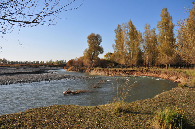 黑河湿地 摄影 weixianghua