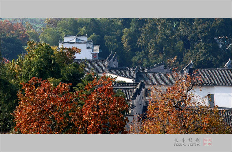 塔川秋色 摄影 长木