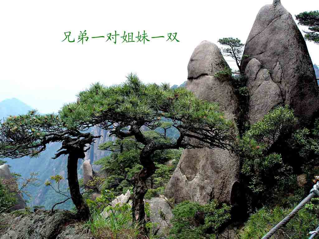 三清山风光 摄影 状元岙里