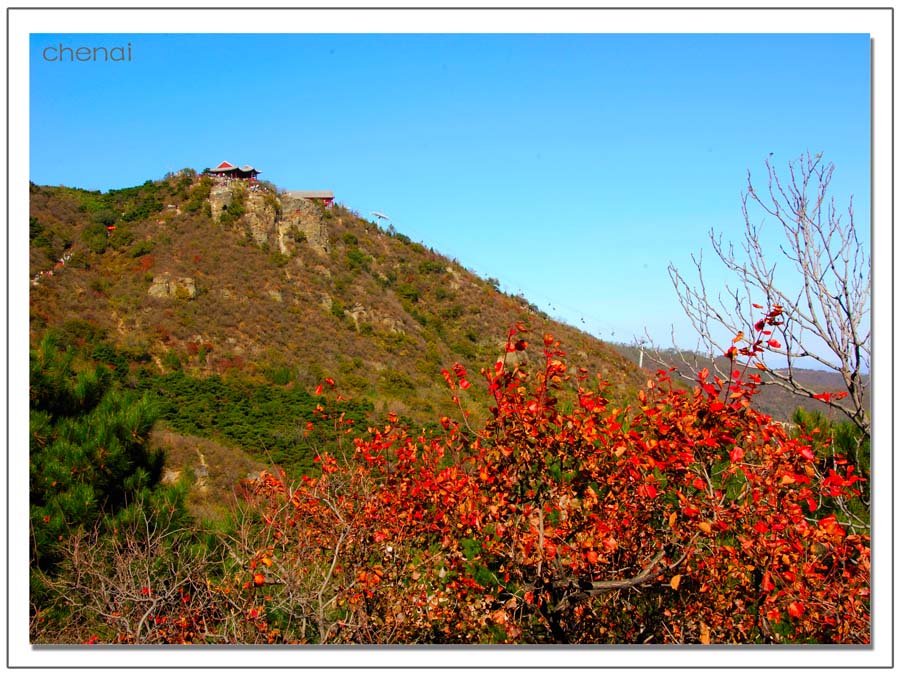 香山红叶4 摄影 chenjenai