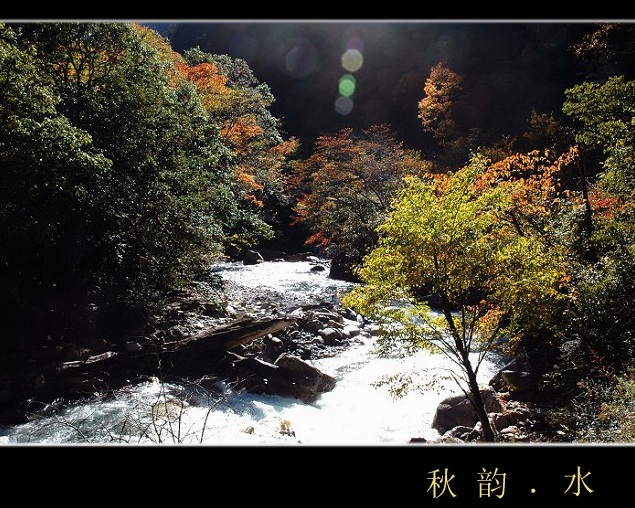 秋韵.水 摄影 素心静雨