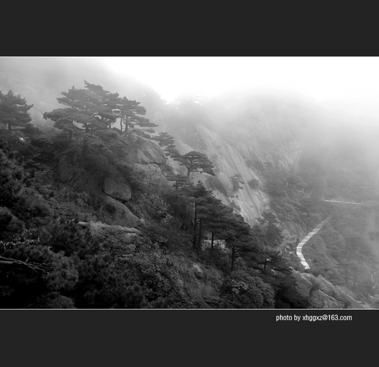 雾锁黄山－2 摄影 板桥竹