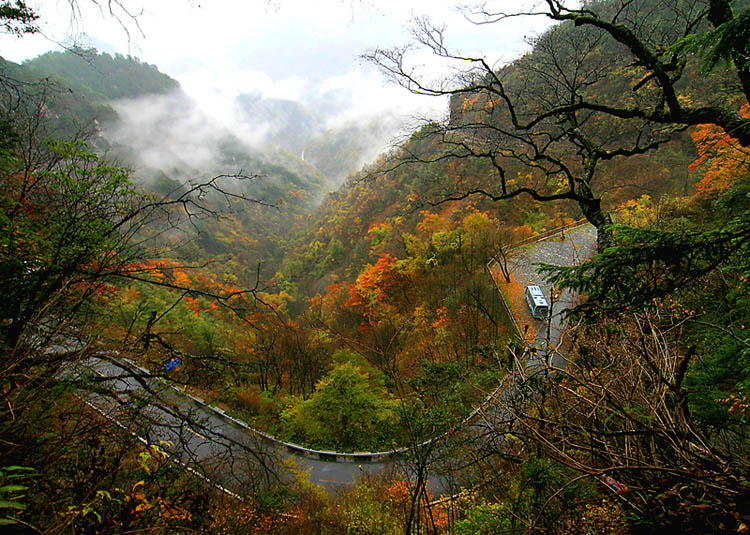 神龙架秋景（2) - 山路弯弯 摄影 儒子牛