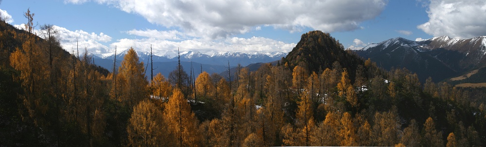 高山秋色 摄影 jxl1477258