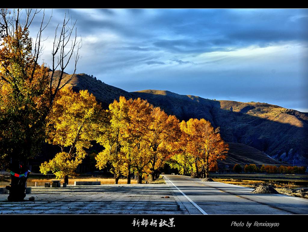 新都桥秋景 摄影 逍遥四方