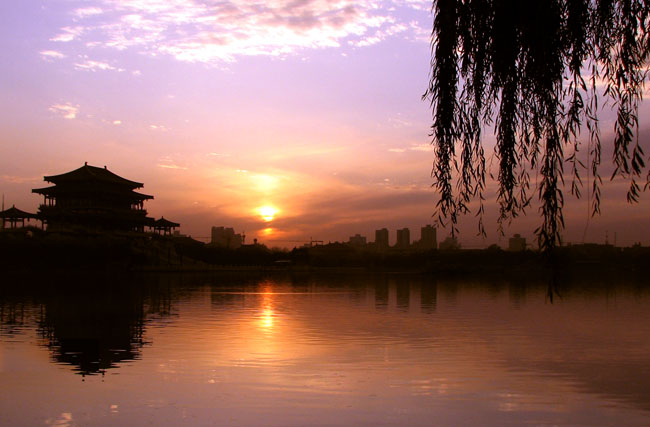 夕照 摄影 柔梦深秋