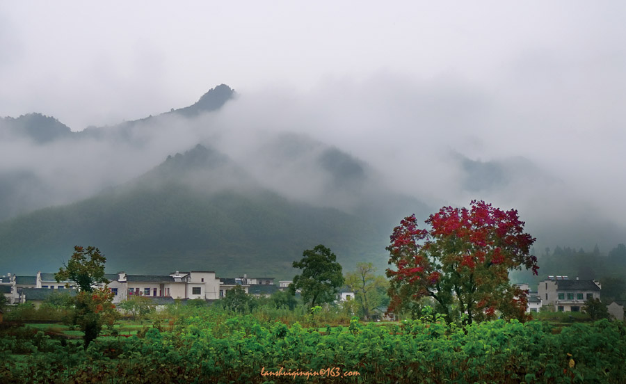 秋雨中塔川 摄影 岚水清清