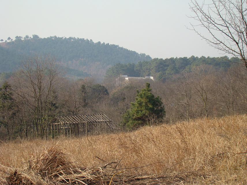 富硒香生态园6.远眺伏虎山 摄影 A紫气东来