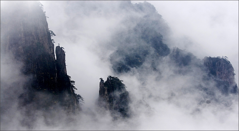 云雾黄山 摄影 细雨霏霏