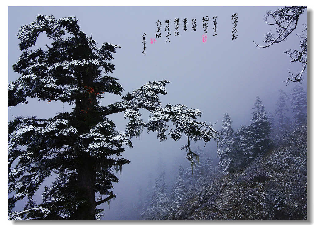 瑞雪压松 摄影 欢哥