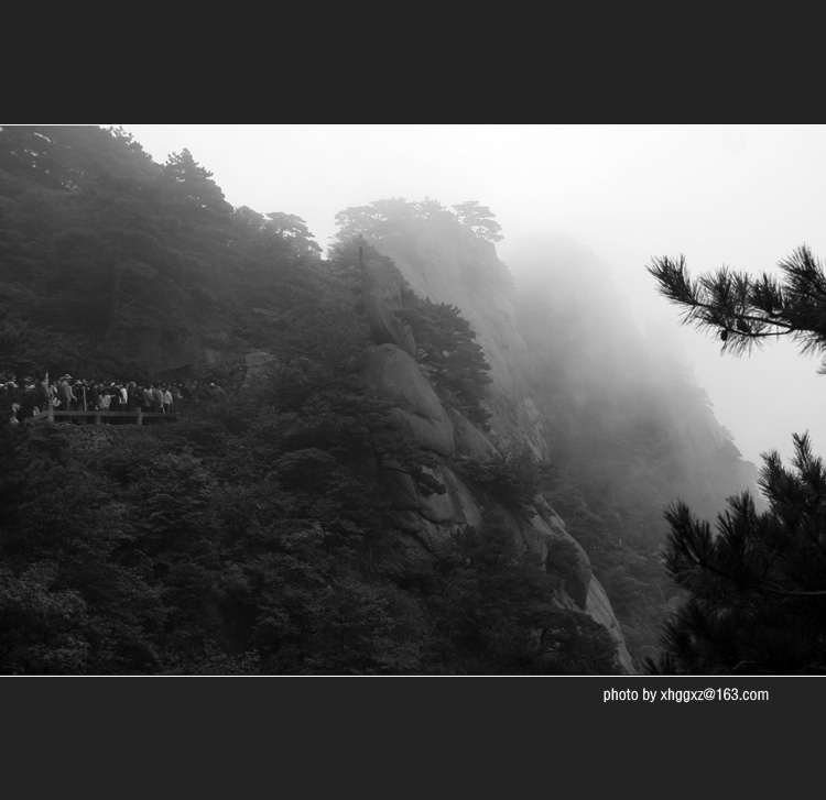 雾锁黄山－4 摄影 板桥竹