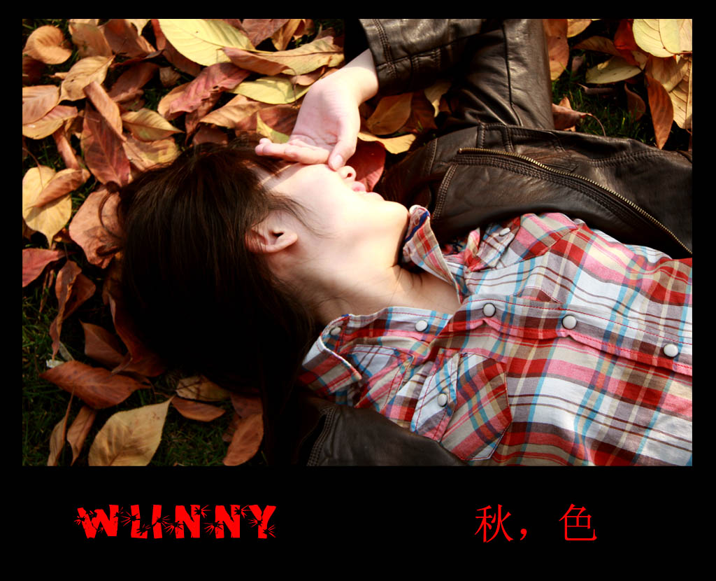 秋，色  1 摄影 wlinny