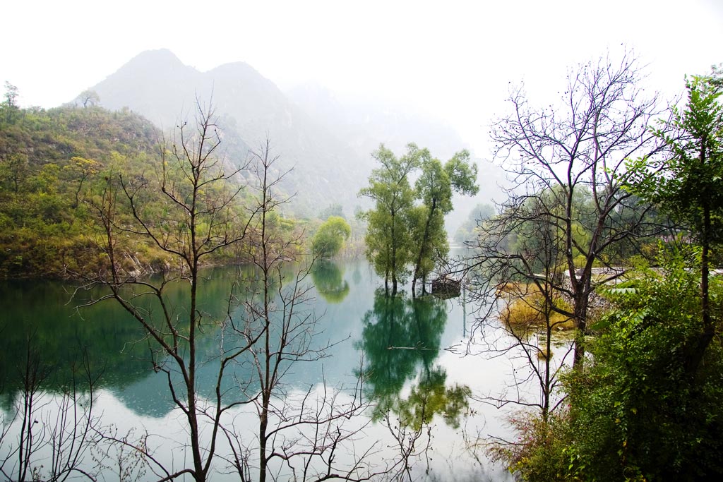 雨中小景 摄影 魏平