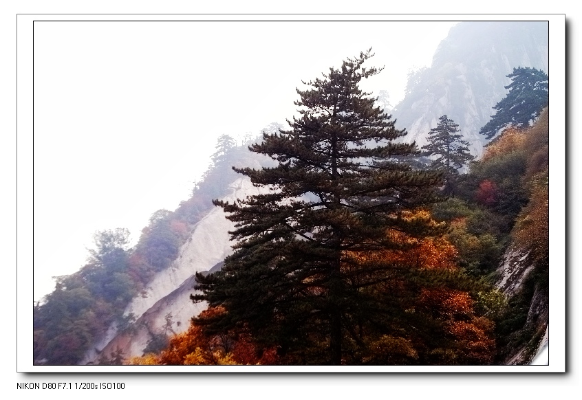 华山秋韵 摄影 武夷山泉